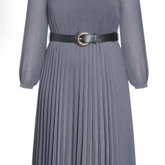 New with Tags, never worn, smoke/scent free home. City Chic Love Pleat Dress. - Picture 3 of 4